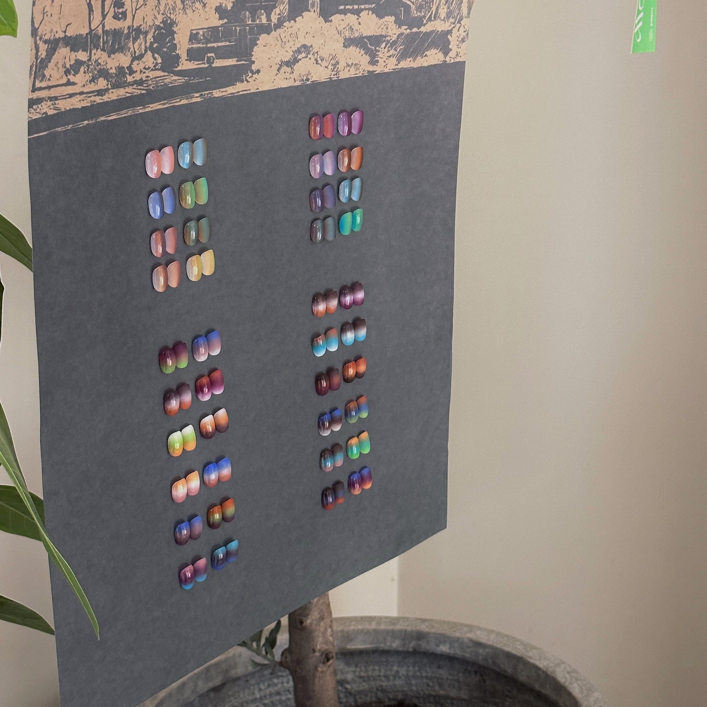 DINAGEL Color Gel【DINAGEL x SASA Serise 280-289】3g