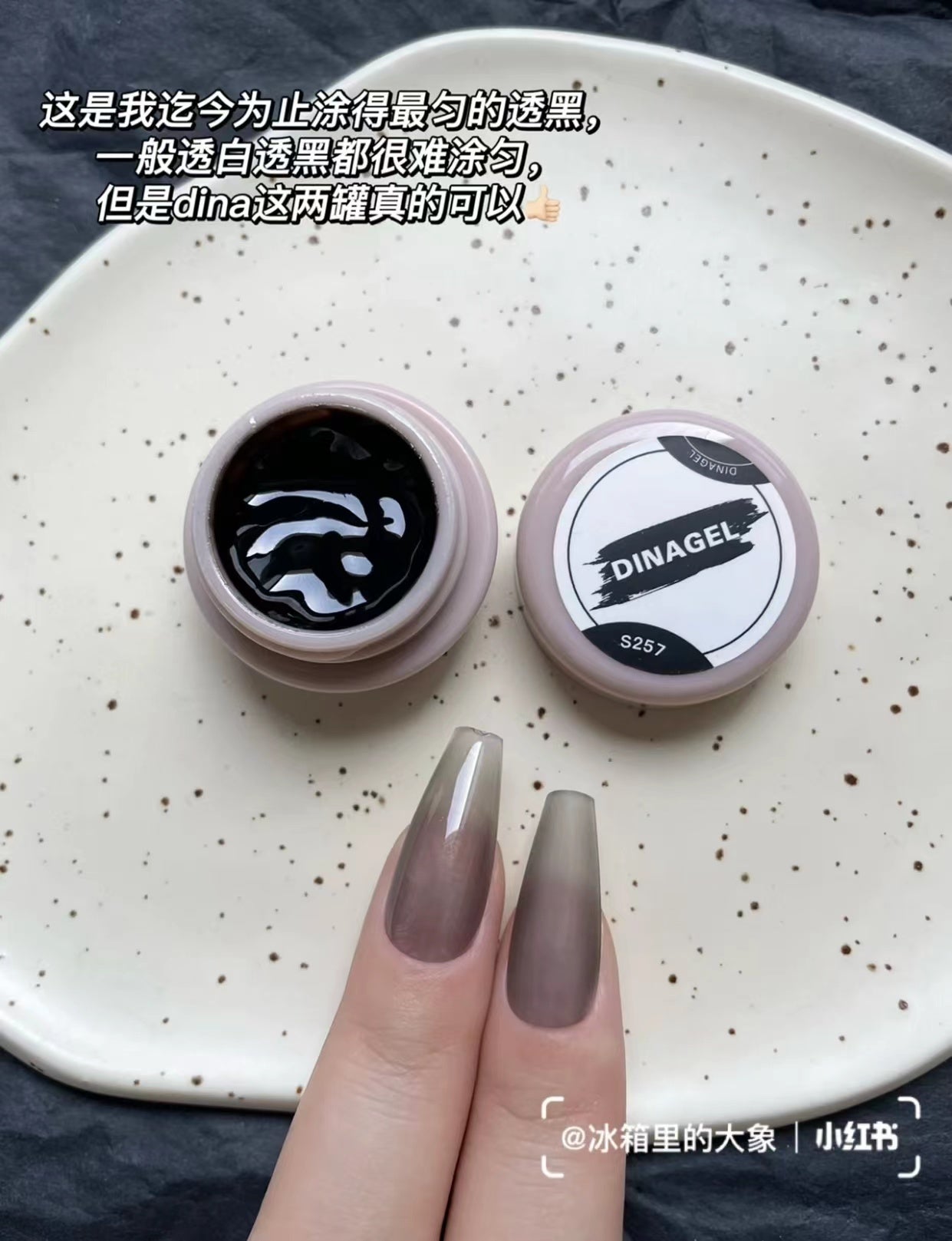 DINAGEL Color Gel【Shinjuku Serise 256-265】3g