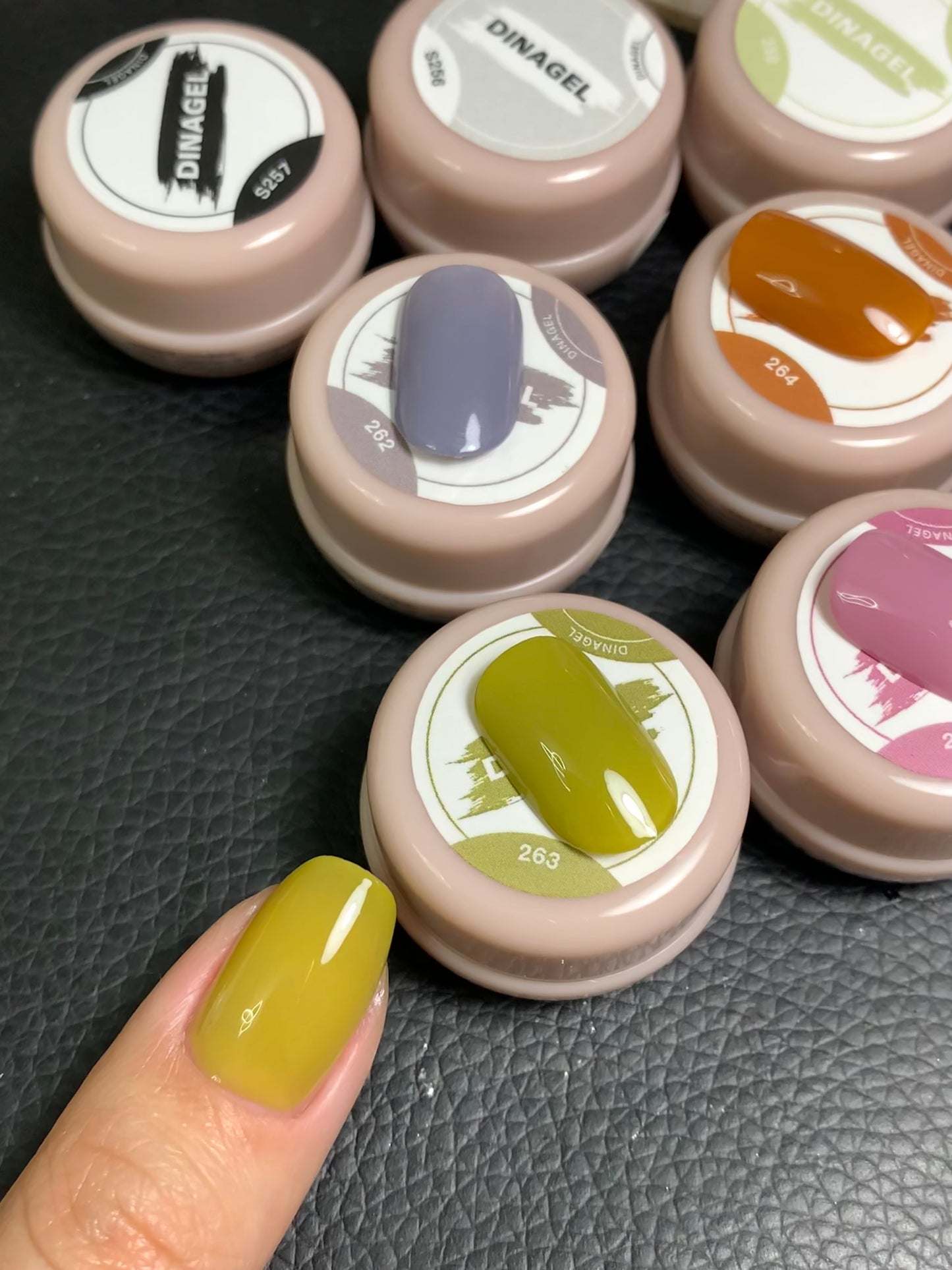 DINAGEL Color Gel【Shinjuku Serise 256-265】3g