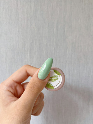 DINAGEL Color Gel【Dina x Mika Serise 137-146】3g