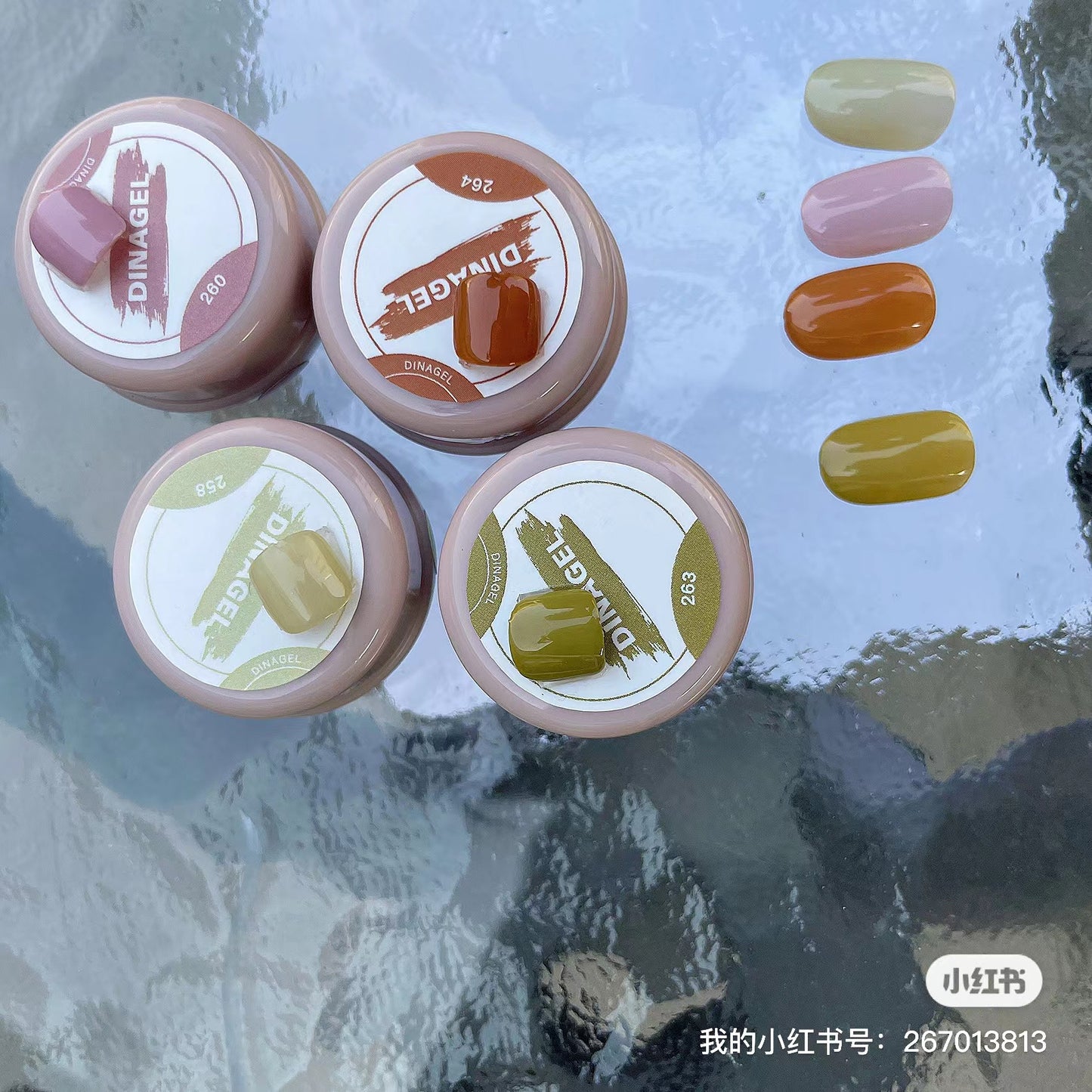 DINAGEL Color Gel【Shinjuku Serise 256-265】3g