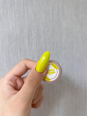 DINAGEL Color Gel【Dina x Mika Serise 137-146】3g