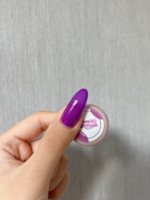 DINAGEL Color Gel【Dina x Mika Serise 137-146】3g