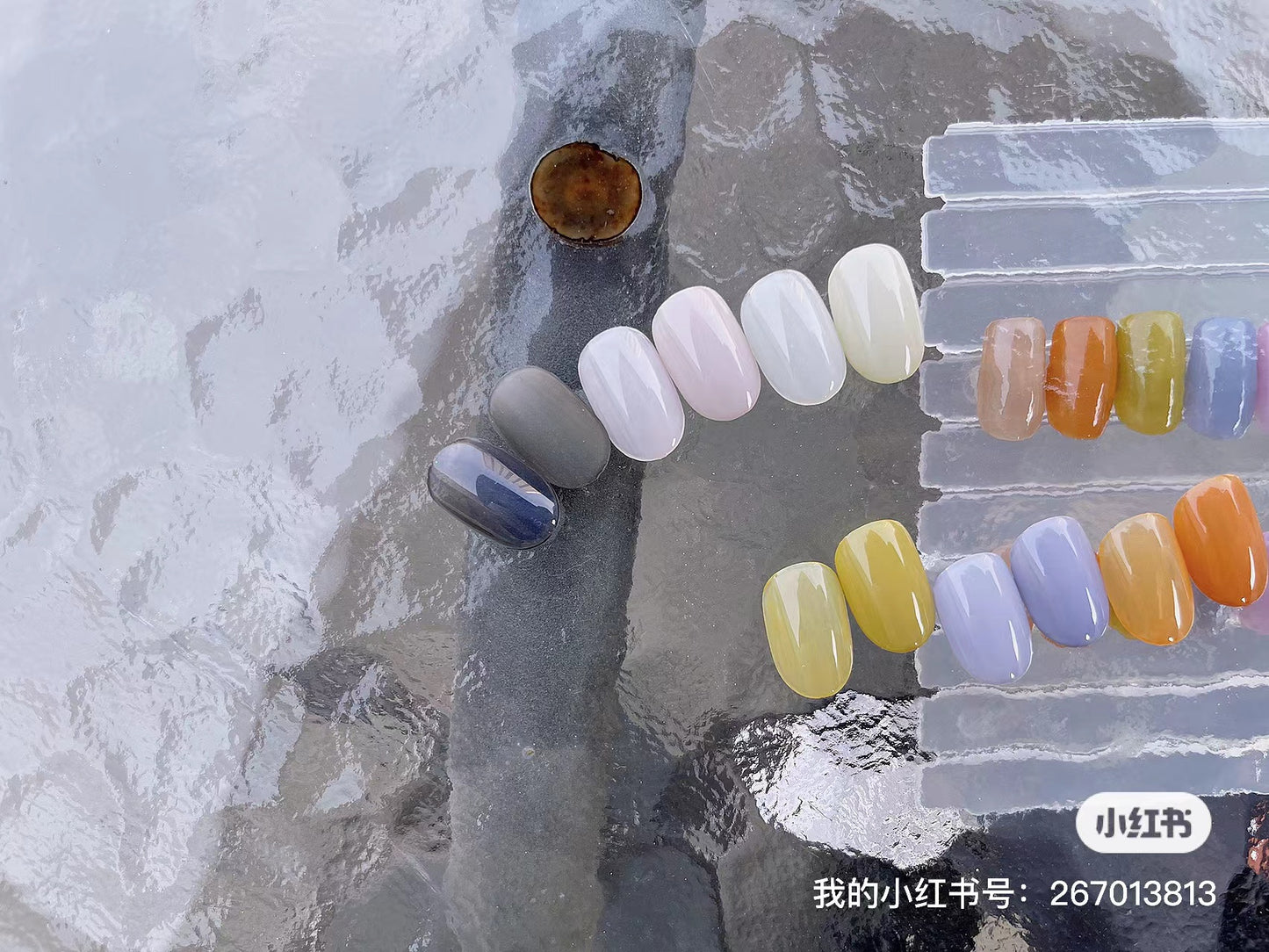 DINAGEL Color Gel【Shinjuku Serise 256-265】3g