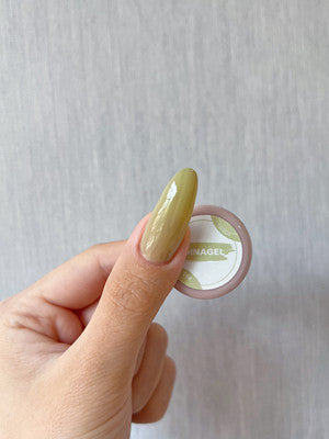 DINAGEL Color Gel【Shinjuku Serise 256-265】3g