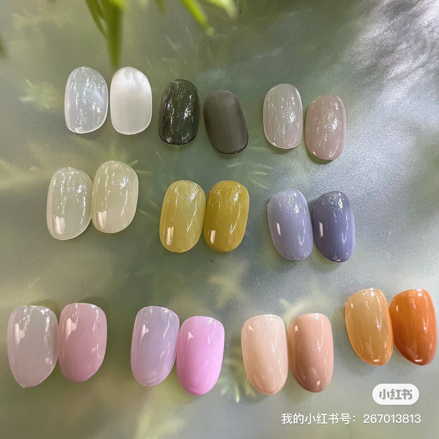 DINAGEL Color Gel【Shinjuku Serise 256-265】3g