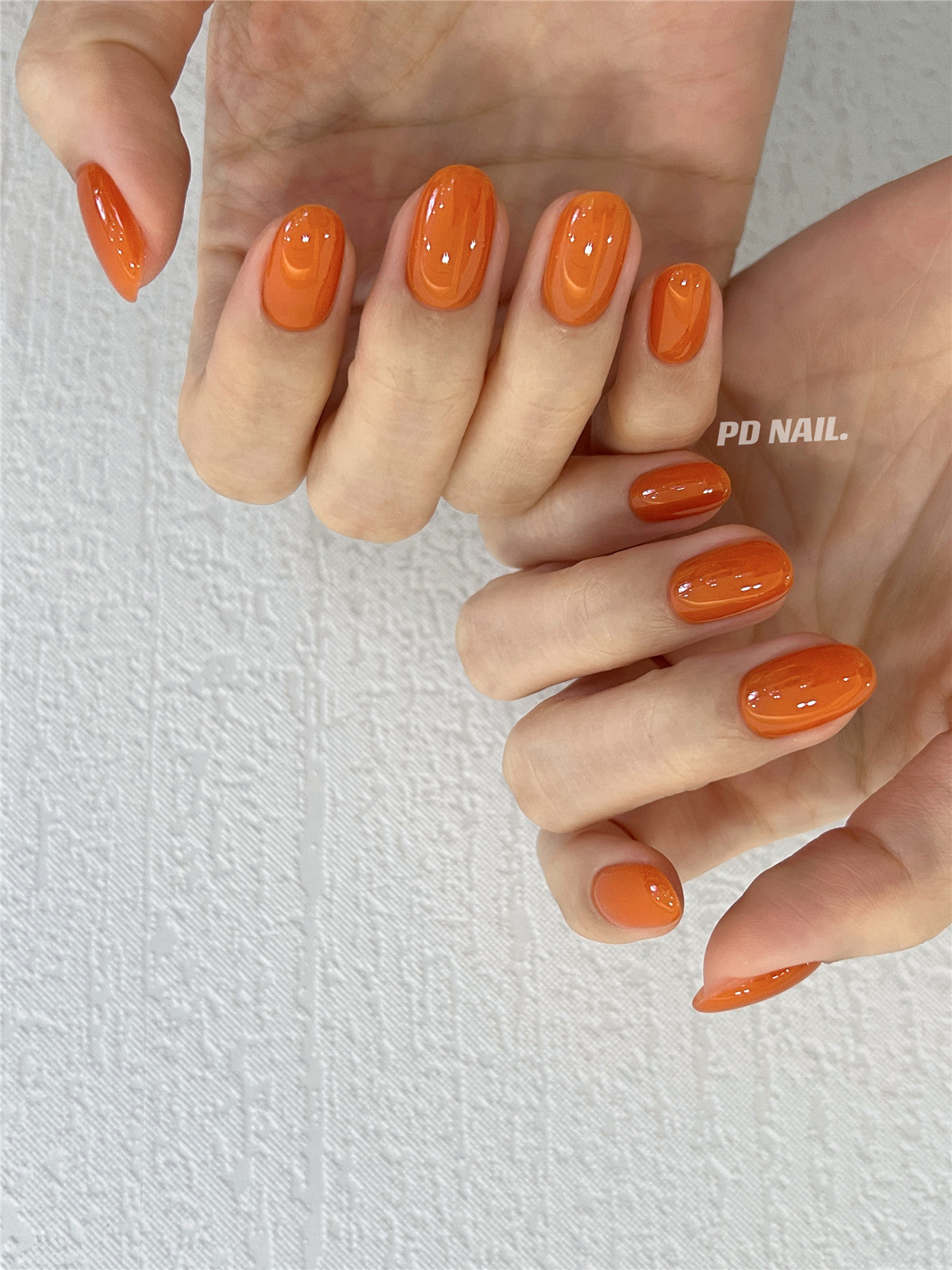 DINAGEL Color Gel【DINAGEL x SASA Serise 280-289】3g