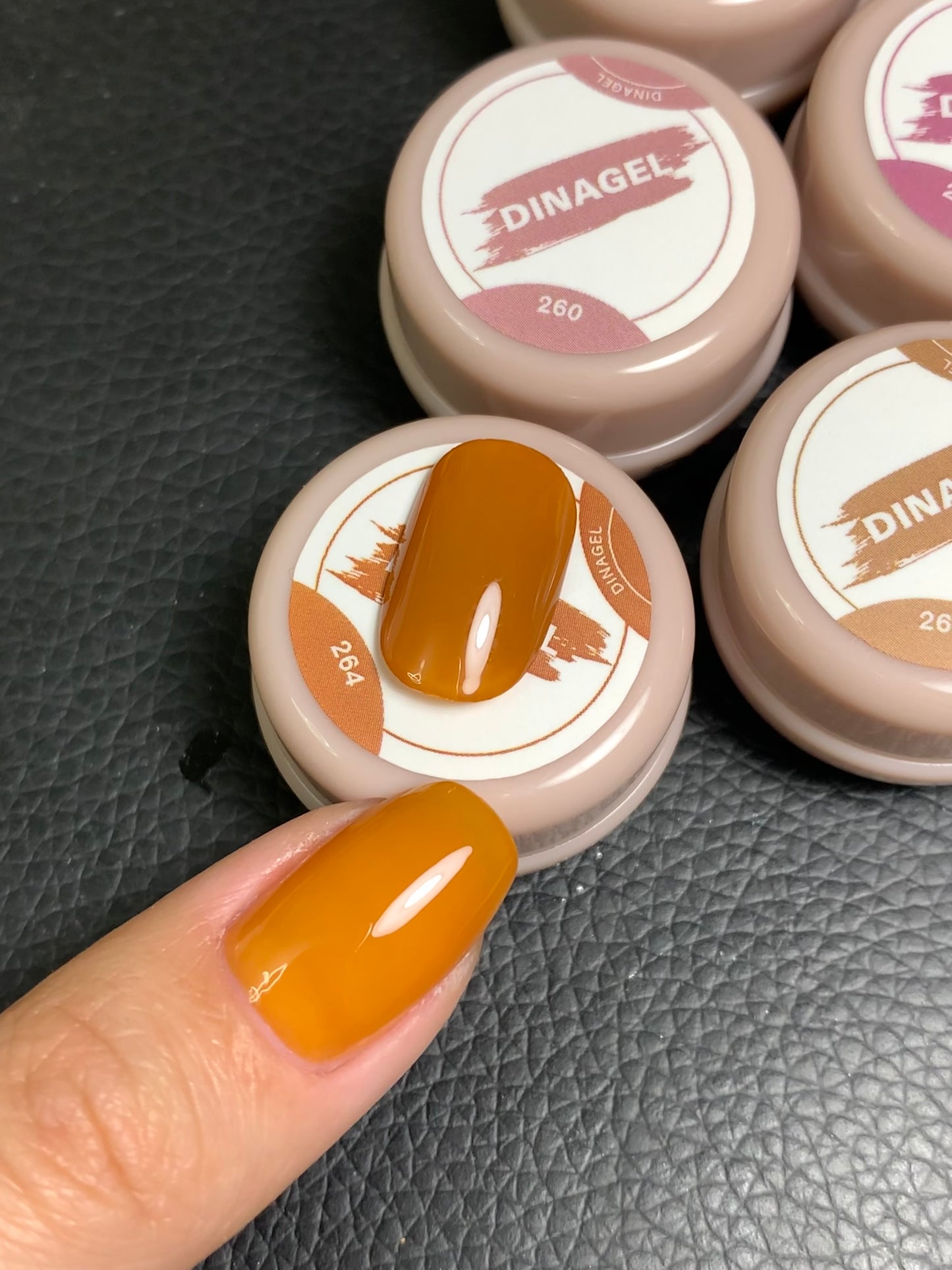 DINAGEL Color Gel【Shinjuku Serise 256-265】3g
