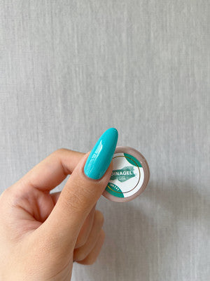 DINAGEL Color Gel【Dina x Mika Serise 137-146】3g