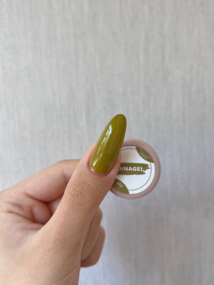 DINAGEL Color Gel【Shinjuku Serise 256-265】3g