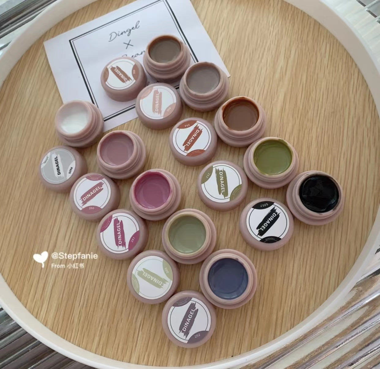 DINAGEL Color Gel【Shinjuku Serise 256-265】3g