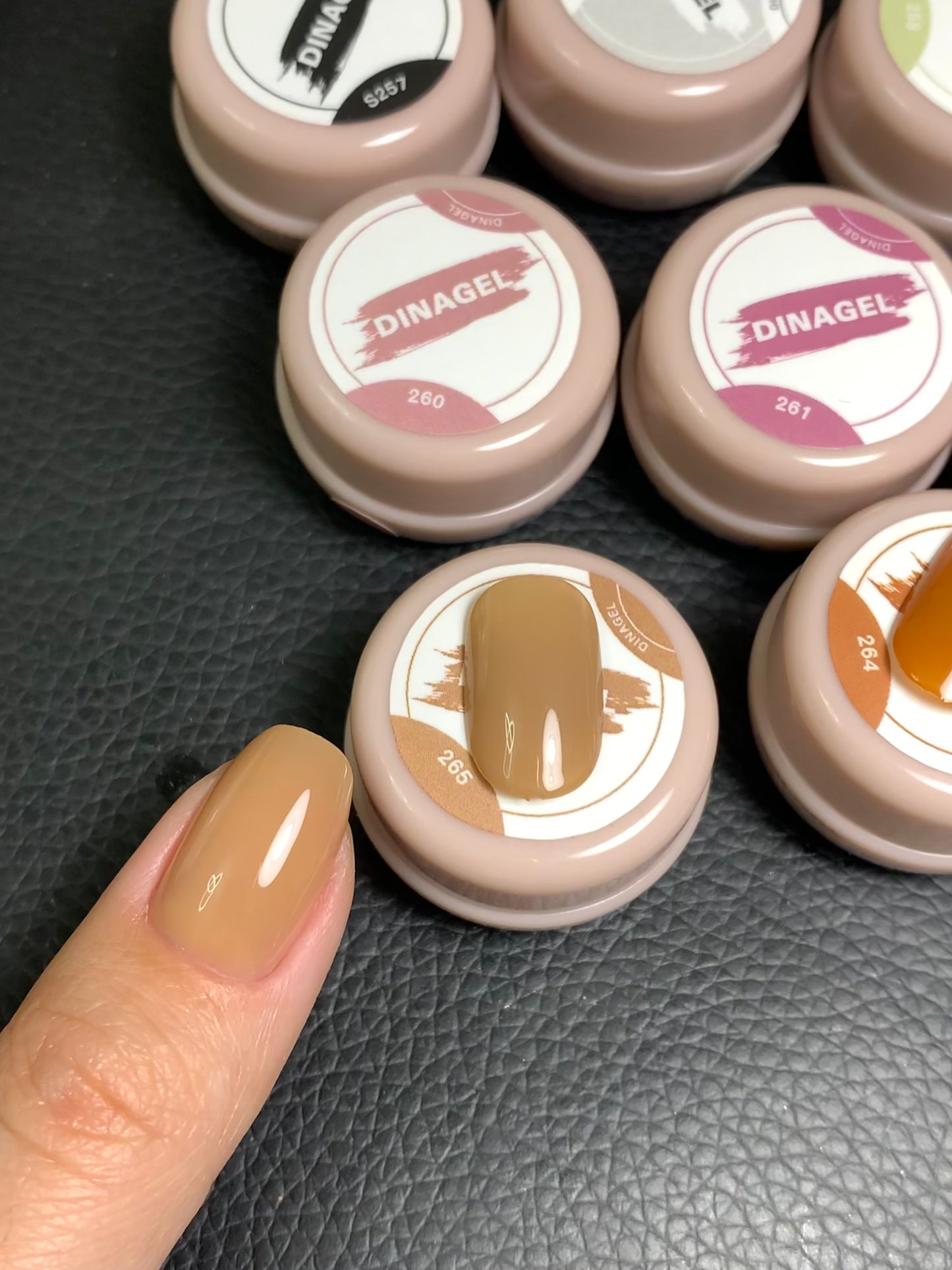 DINAGEL Color Gel【Shinjuku Serise 256-265】3g