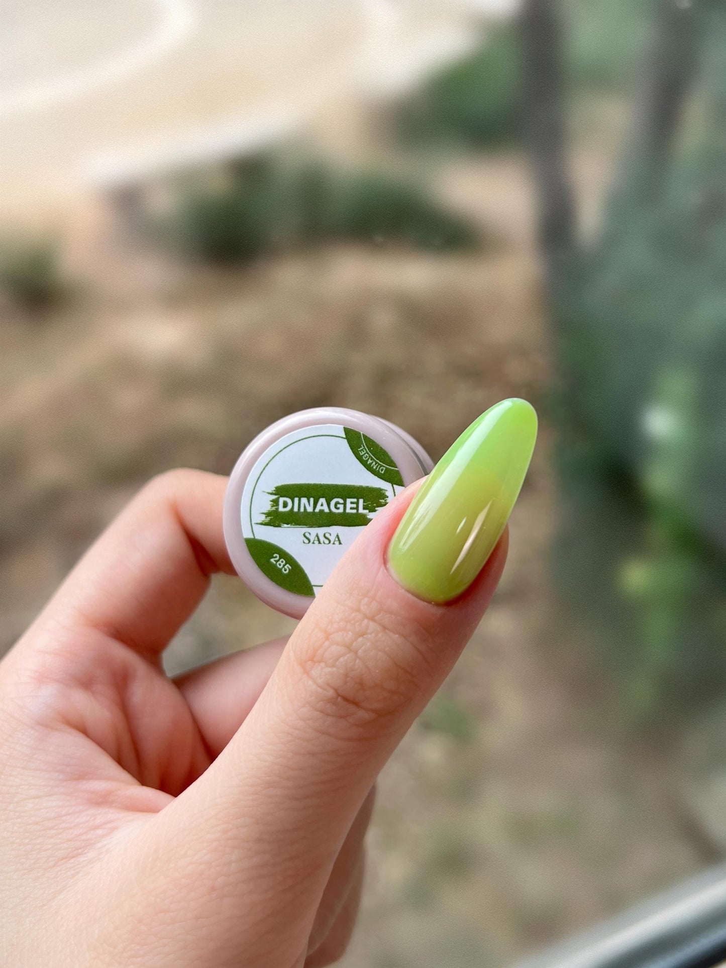 DINAGEL Color Gel【DINAGEL x SASA Serise 280-289】3g