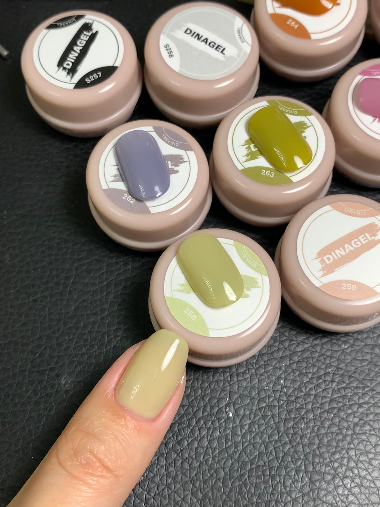 DINAGEL Color Gel【Shinjuku Serise 256-265】3g