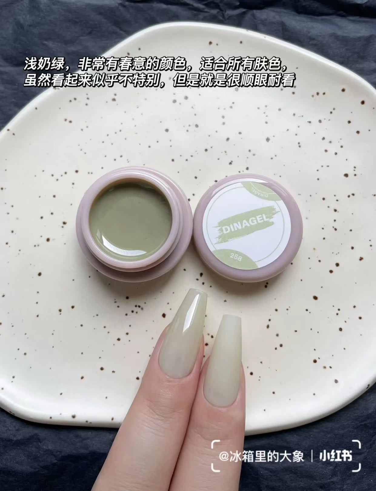 DINAGEL Color Gel【Shinjuku Serise 256-265】3g