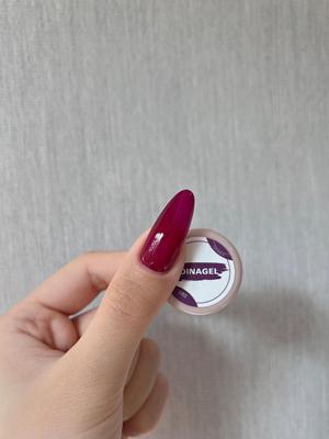 DINAGEL Color Gel【Classic Red Serise 081-088】3g