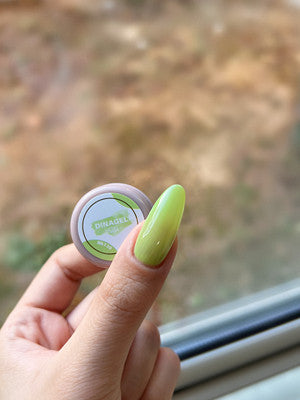 DINAGEL Color Gel【Dina x Mika Serise 137-146】3g