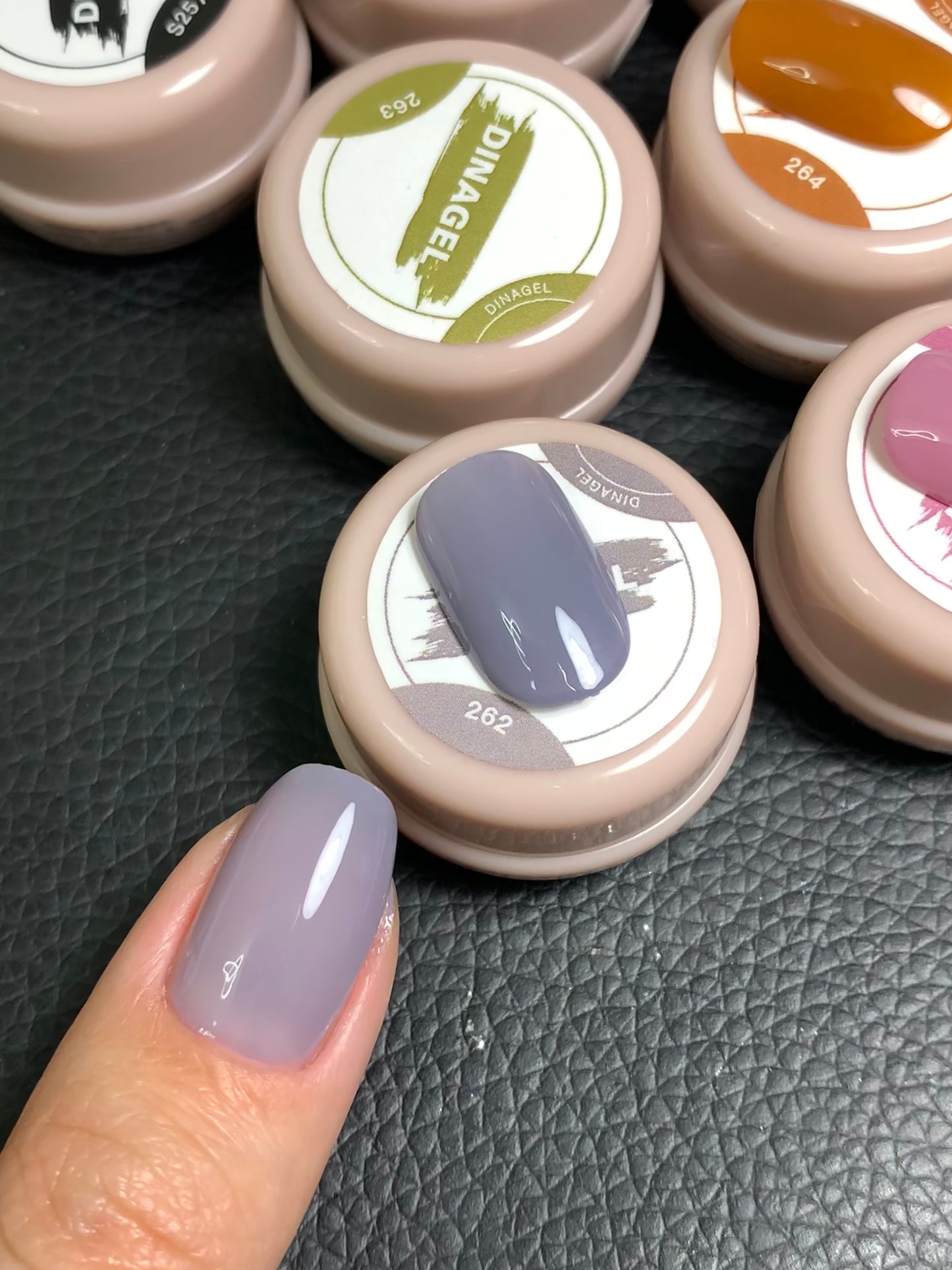 DINAGEL Color Gel【Shinjuku Serise 256-265】3g