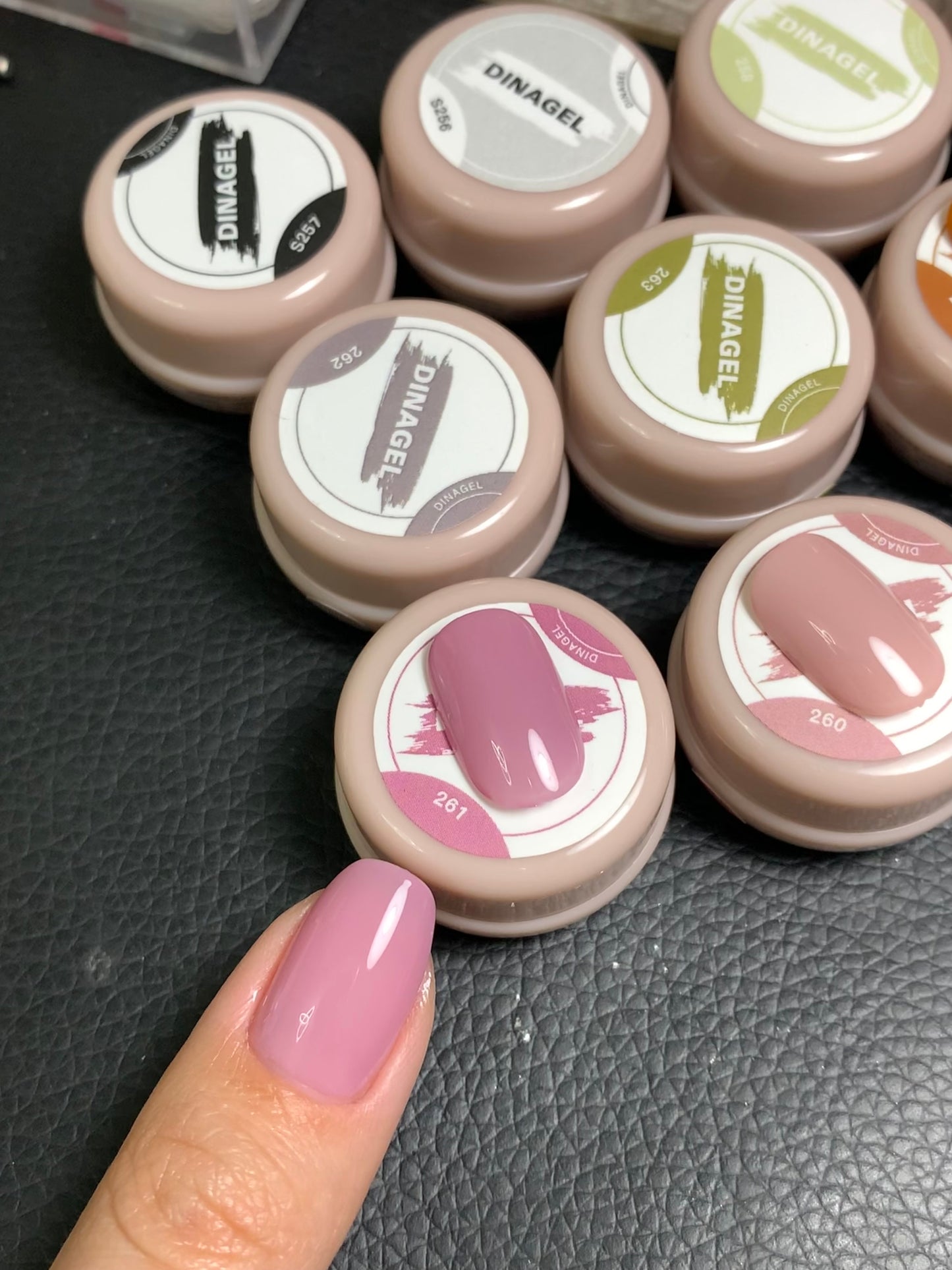 DINAGEL Color Gel【Shinjuku Serise 256-265】3g