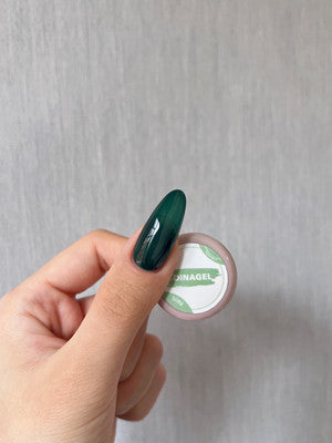 DINAGEL Color Gel【Clear Fruity Serise 089-096】3g