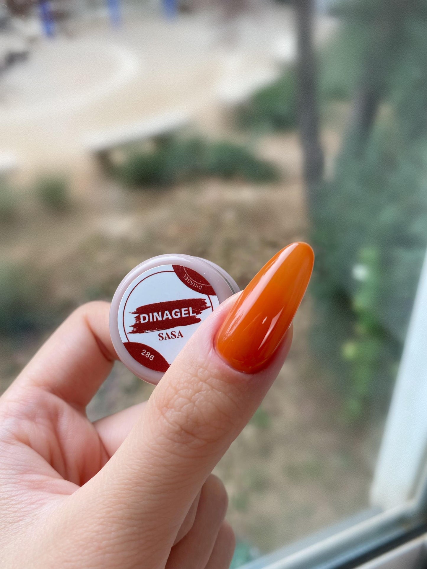 DINAGEL Color Gel【DINAGEL x SASA Serise 280-289】3g