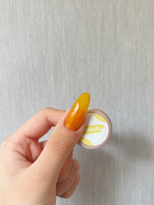 DINAGEL Color Gel【Clear Fruity Serise 089-096】3g