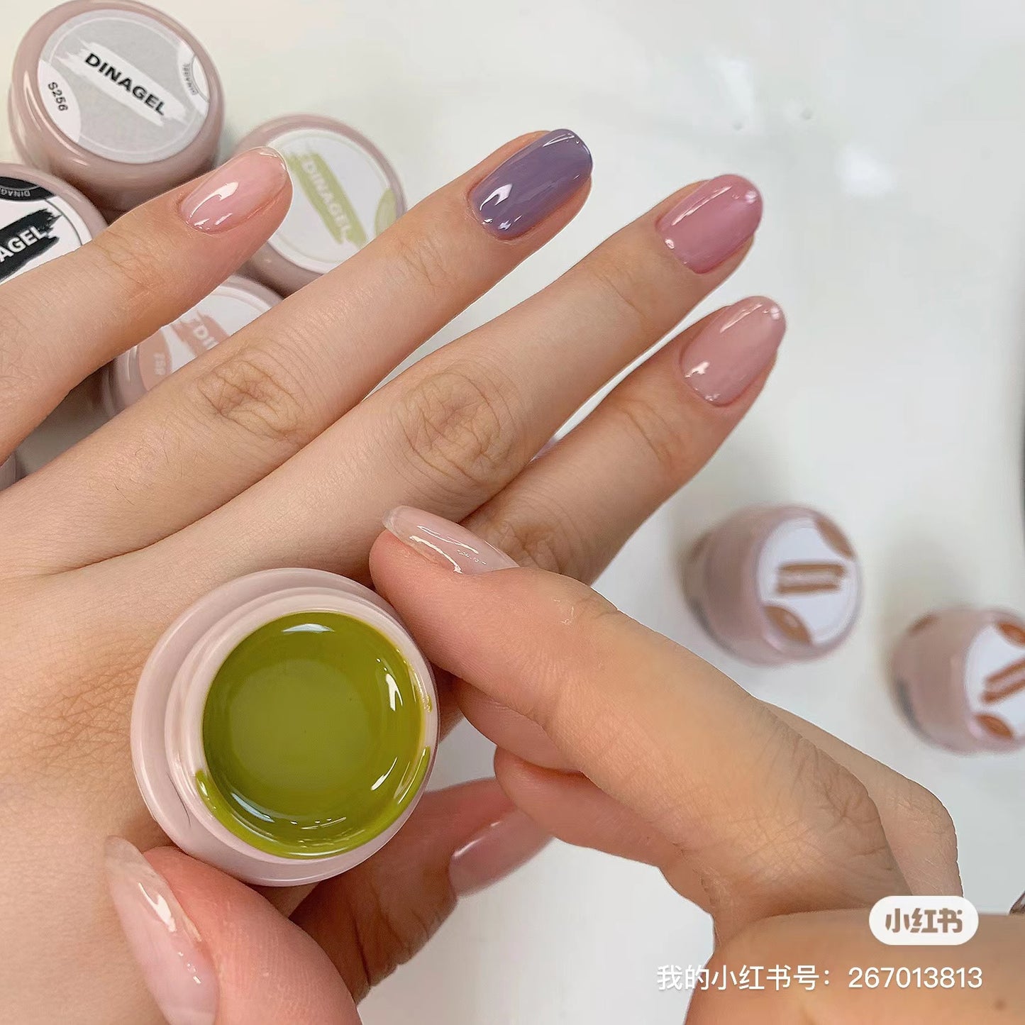 DINAGEL Color Gel【Shinjuku Serise 256-265】3g