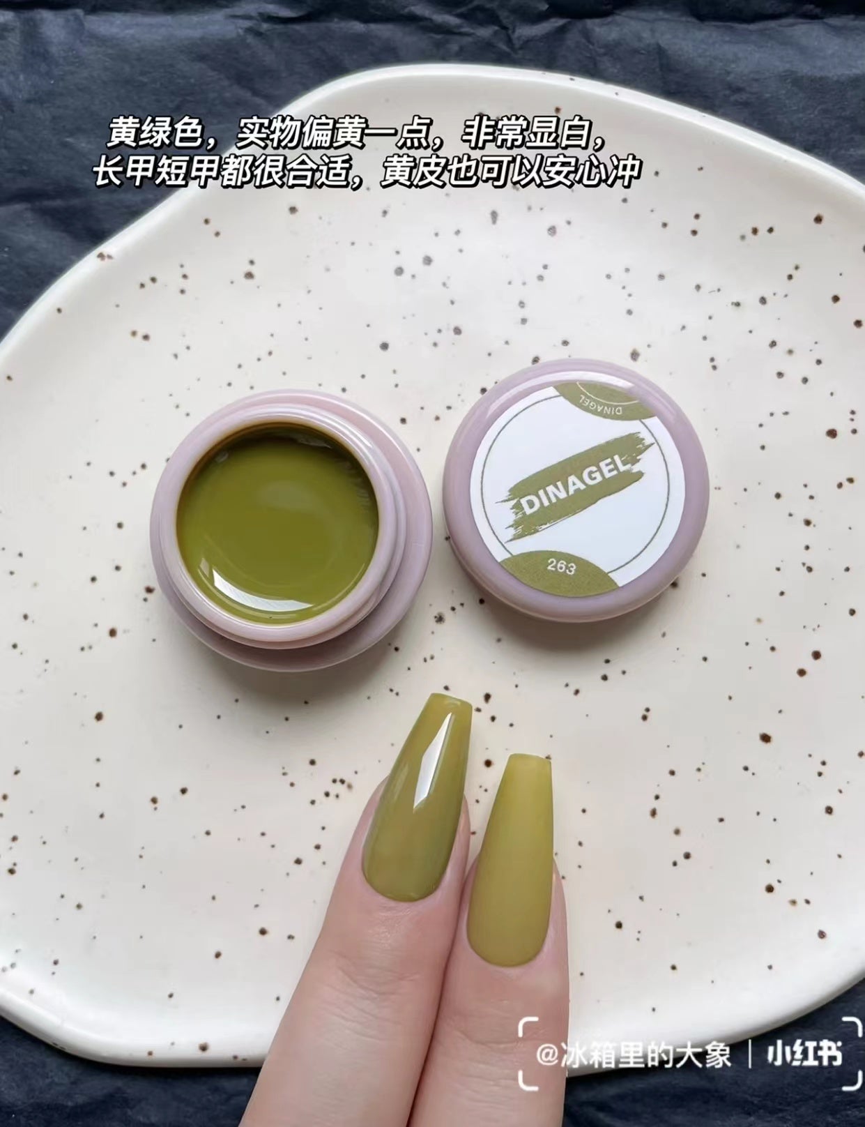 DINAGEL Color Gel【Shinjuku Serise 256-265】3g