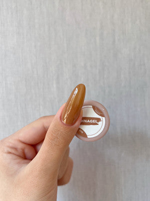DINAGEL Color Gel【Shinjuku Serise 256-265】3g