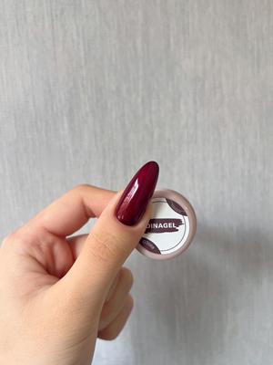 DINAGEL Color Gel【Classic Red Serise 081-088】3g