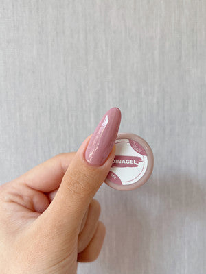 DINAGEL Color Gel【Shinjuku Serise 256-265】3g