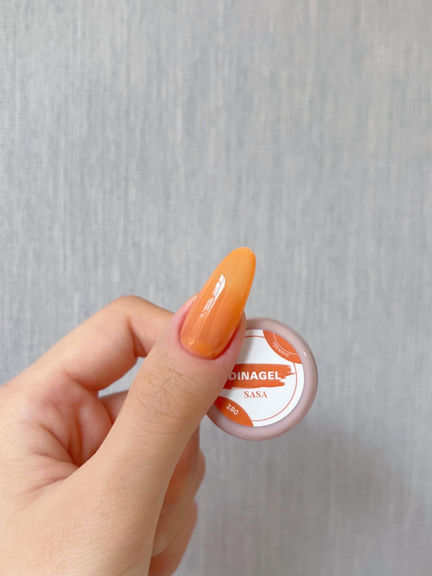 DINAGEL Color Gel【DINAGEL x SASA Serise 280-289】3g