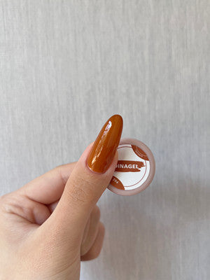 DINAGEL Color Gel【Shinjuku Serise 256-265】3g