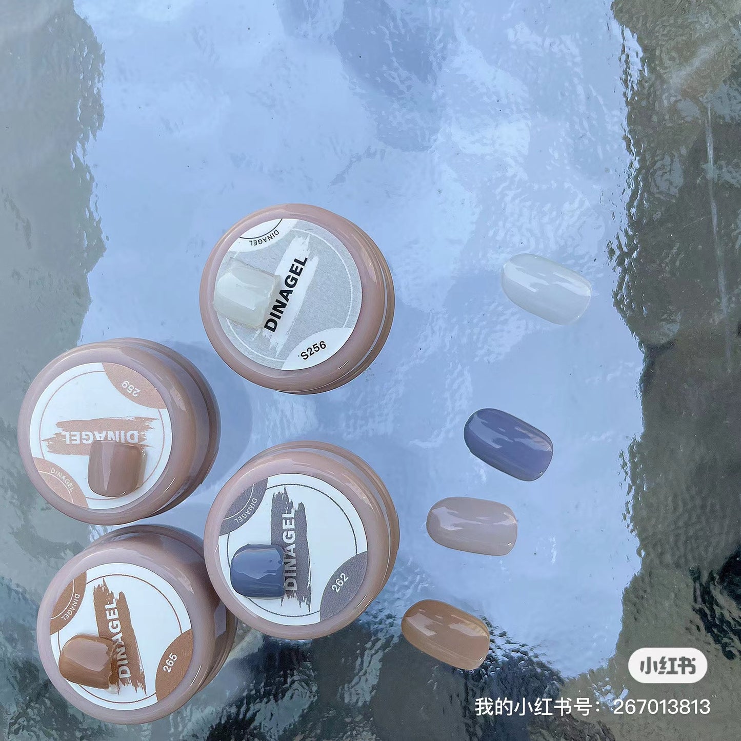 DINAGEL Color Gel【Shinjuku Serise 256-265】3g
