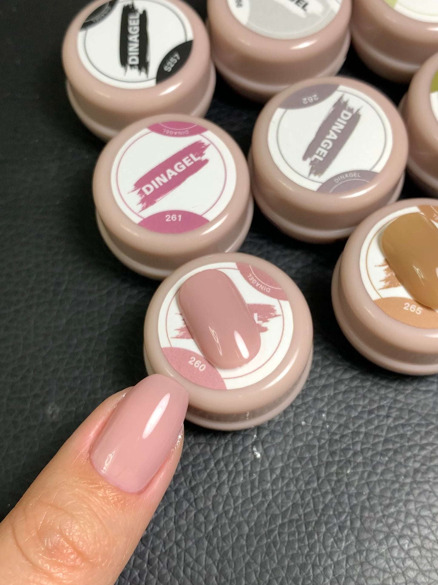 DINAGEL Color Gel【Shinjuku Serise 256-265】3g