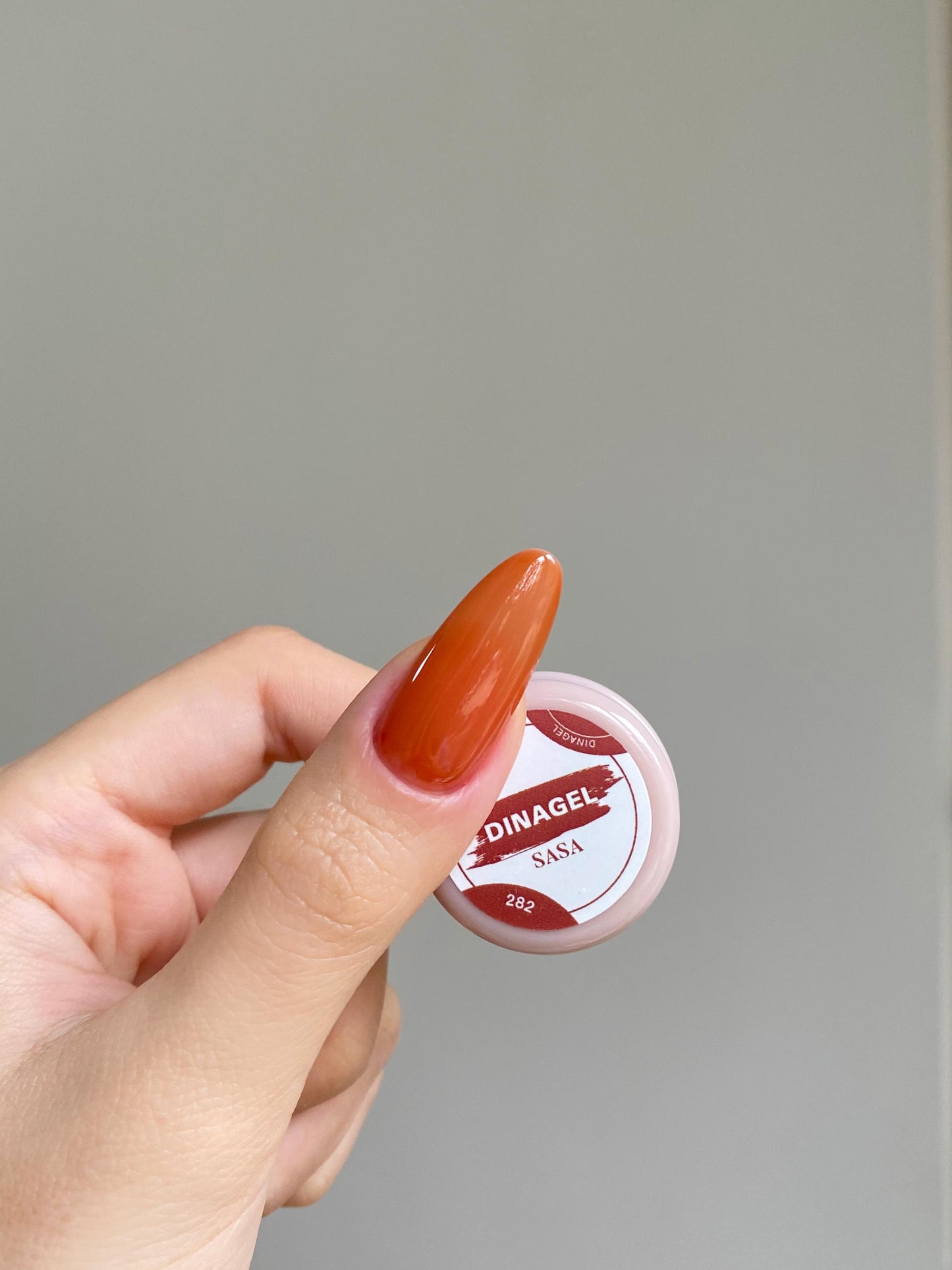 DINAGEL Color Gel【DINAGEL x SASA Serise 280-289】3g