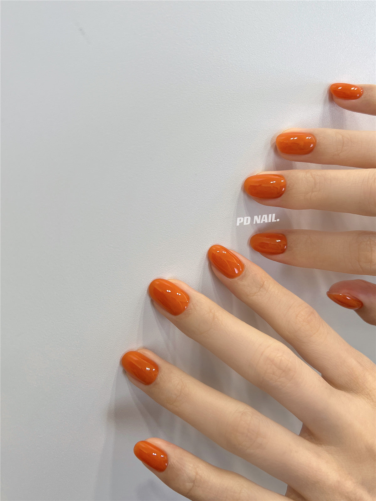 DINAGEL Color Gel【DINAGEL x SASA Serise 280-289】3g