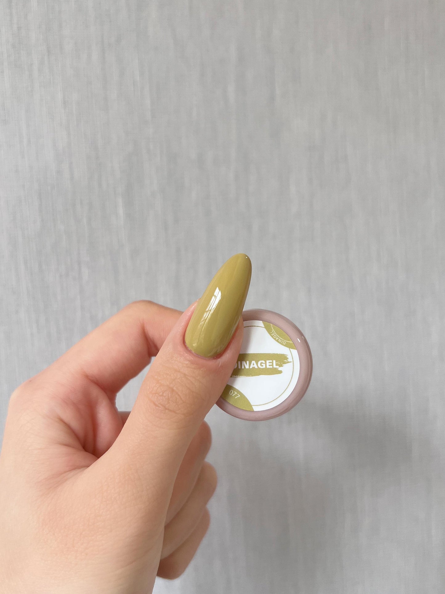 DINAGEL Color Gel【Warmth Serise 073-080】3g